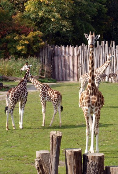 Zoo Leipzig